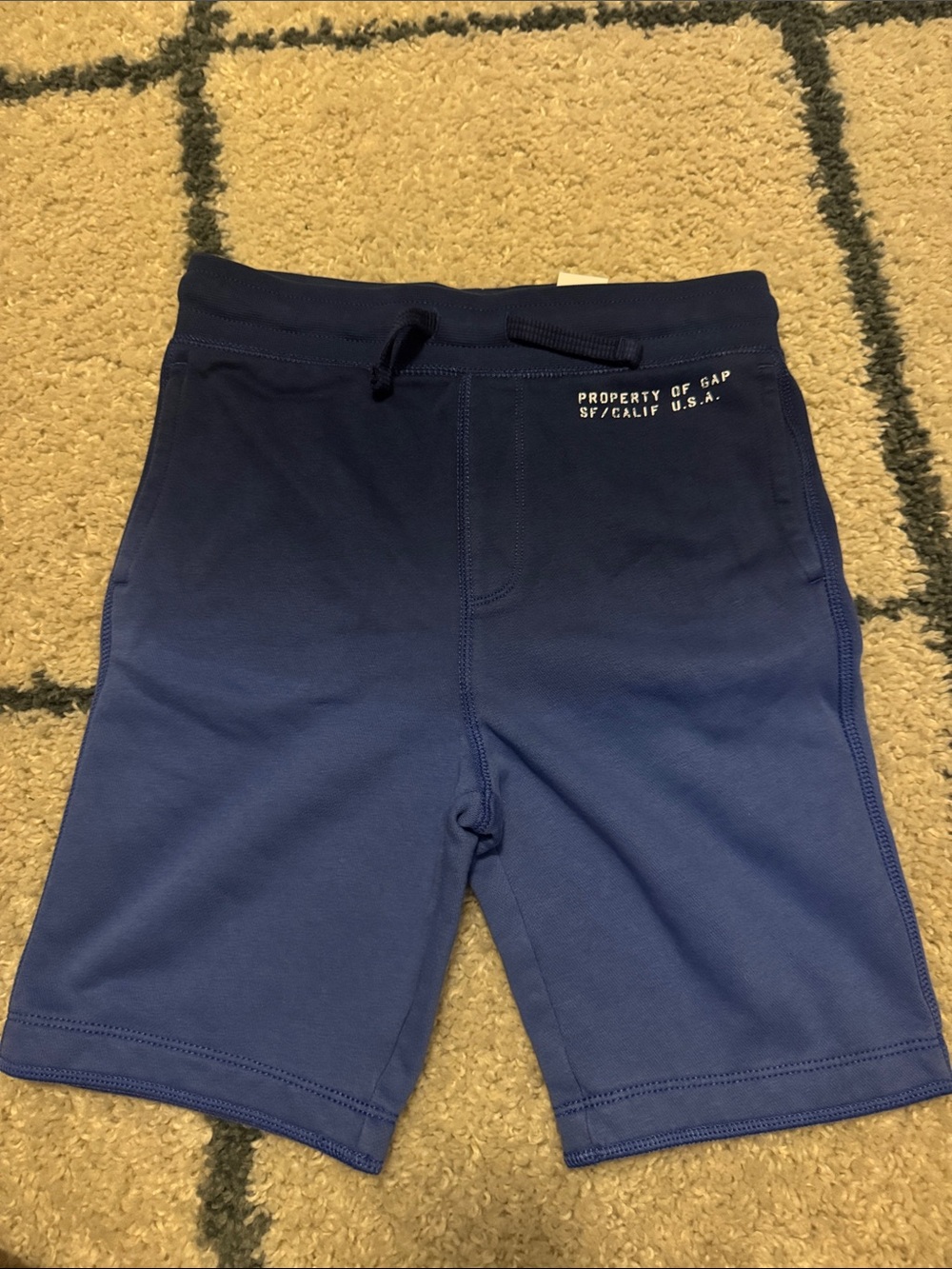 GAP Kid’s Navy Blue Athletic Knit Drawstring Shorts